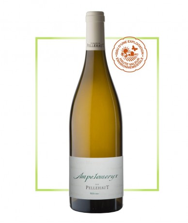 Vin De France - Ampelomeryx...